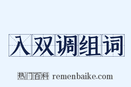 入双调组词是什么意思的图片